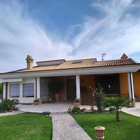 B&B Agrifoglio-3